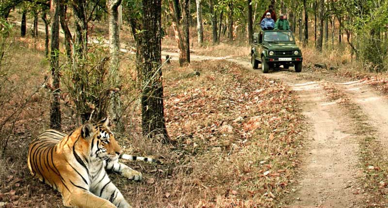 Bandhavgarh National Park