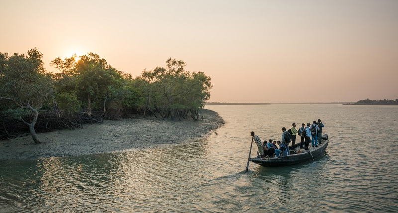 Sundarbans