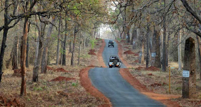 Tadoba National Park