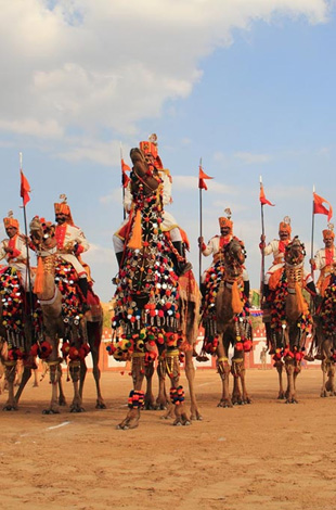 Camel Fair