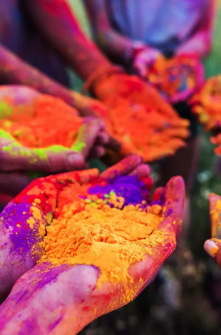 Holi Festival